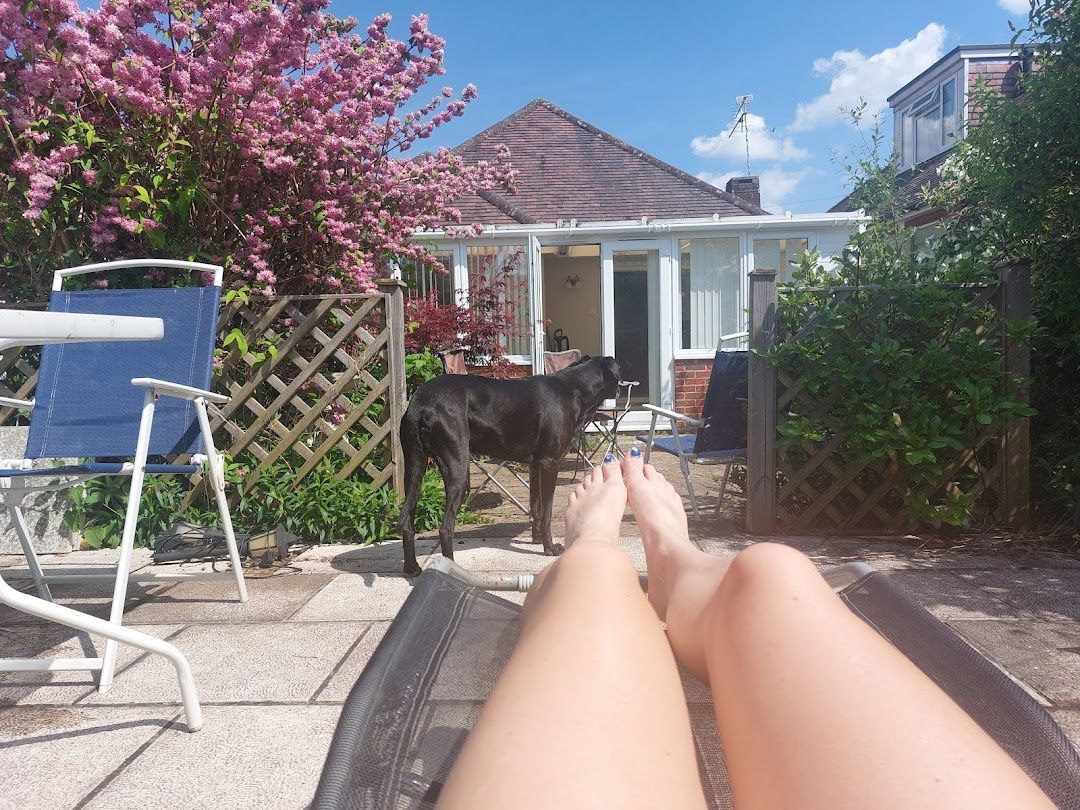 Milo the Labrador-Lurcher lying in the garden on a summer afternoon